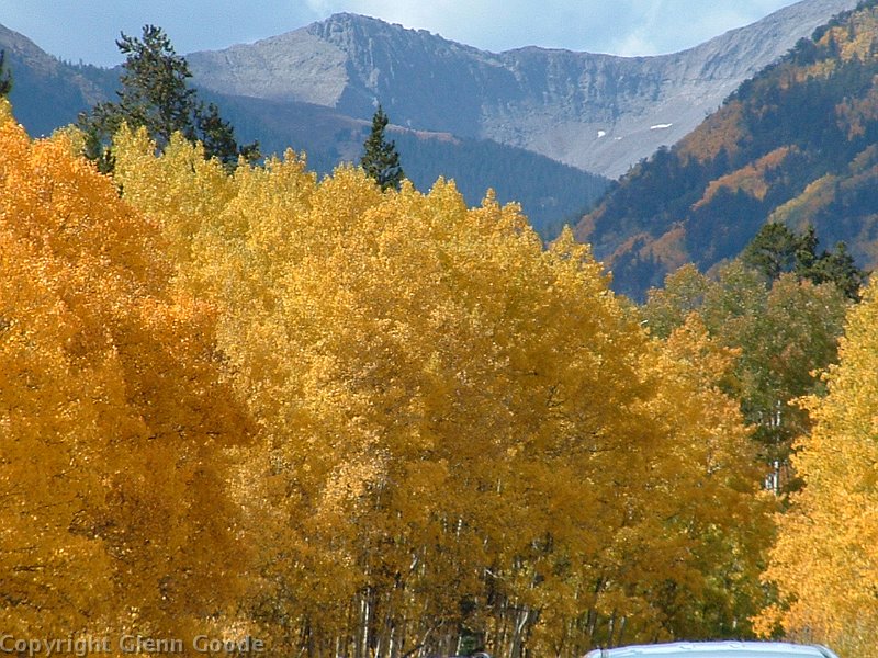 aspen trip 2008 062